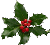 holly